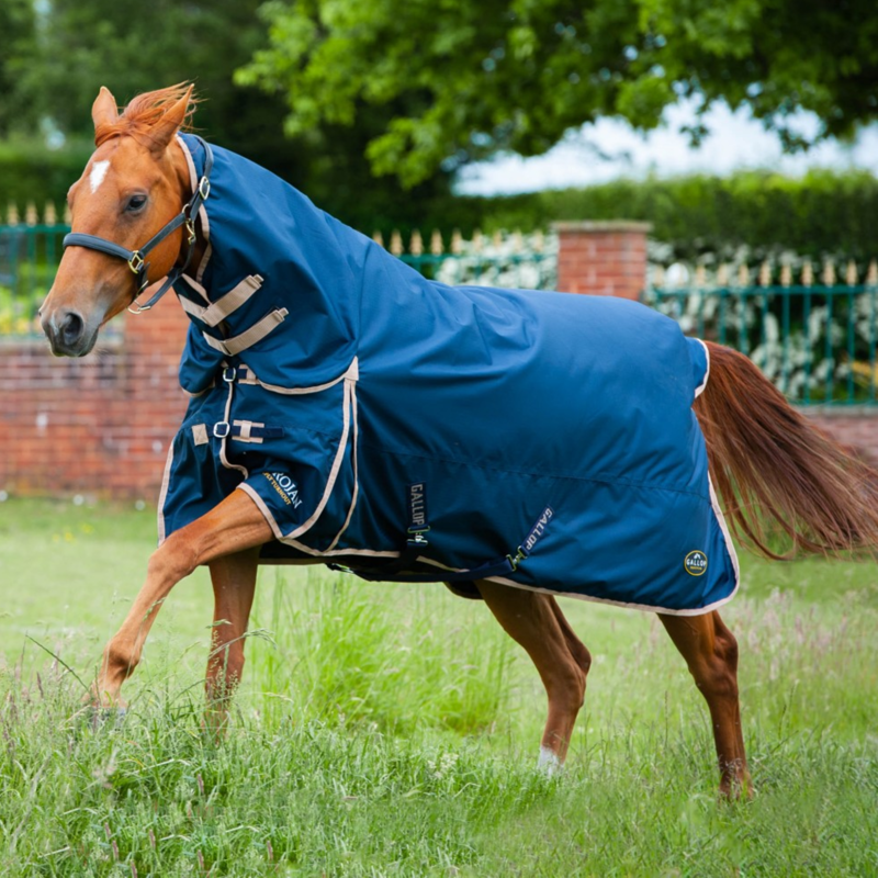 Gallop Trojan Combo 100gm Turnout Rug in Navy/Beige
